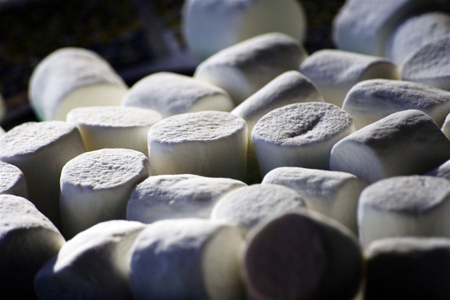 The Sweet History of Marshmallows: From Ancient Medicine to Campfire Classic